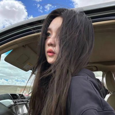 珍与艾玛海报